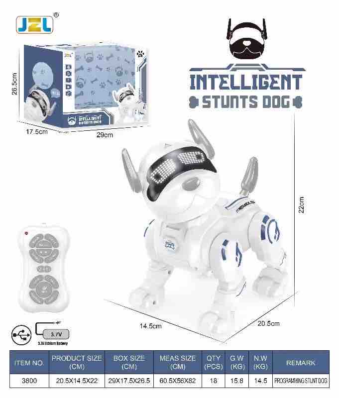 Rc Dog