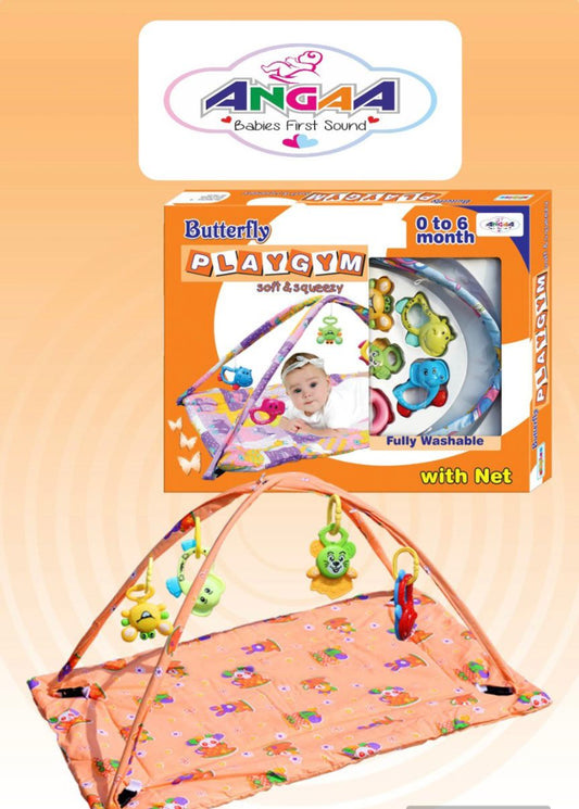 Butterfly Play Gym with Net