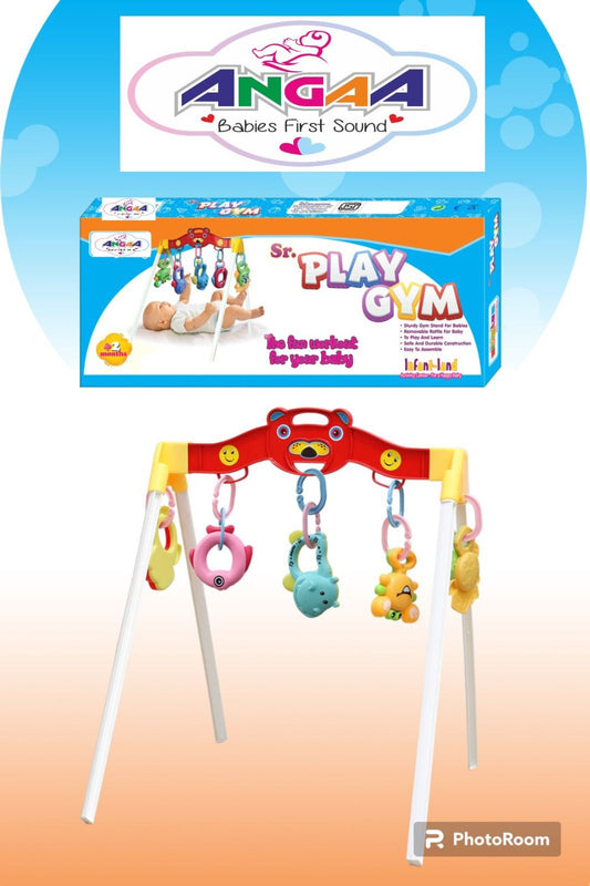 Sr Play Gym