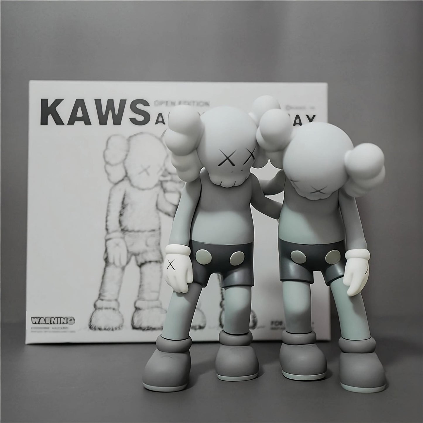 KAWS Along The Way