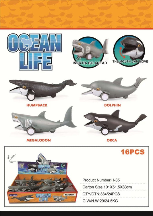 Ocean Life